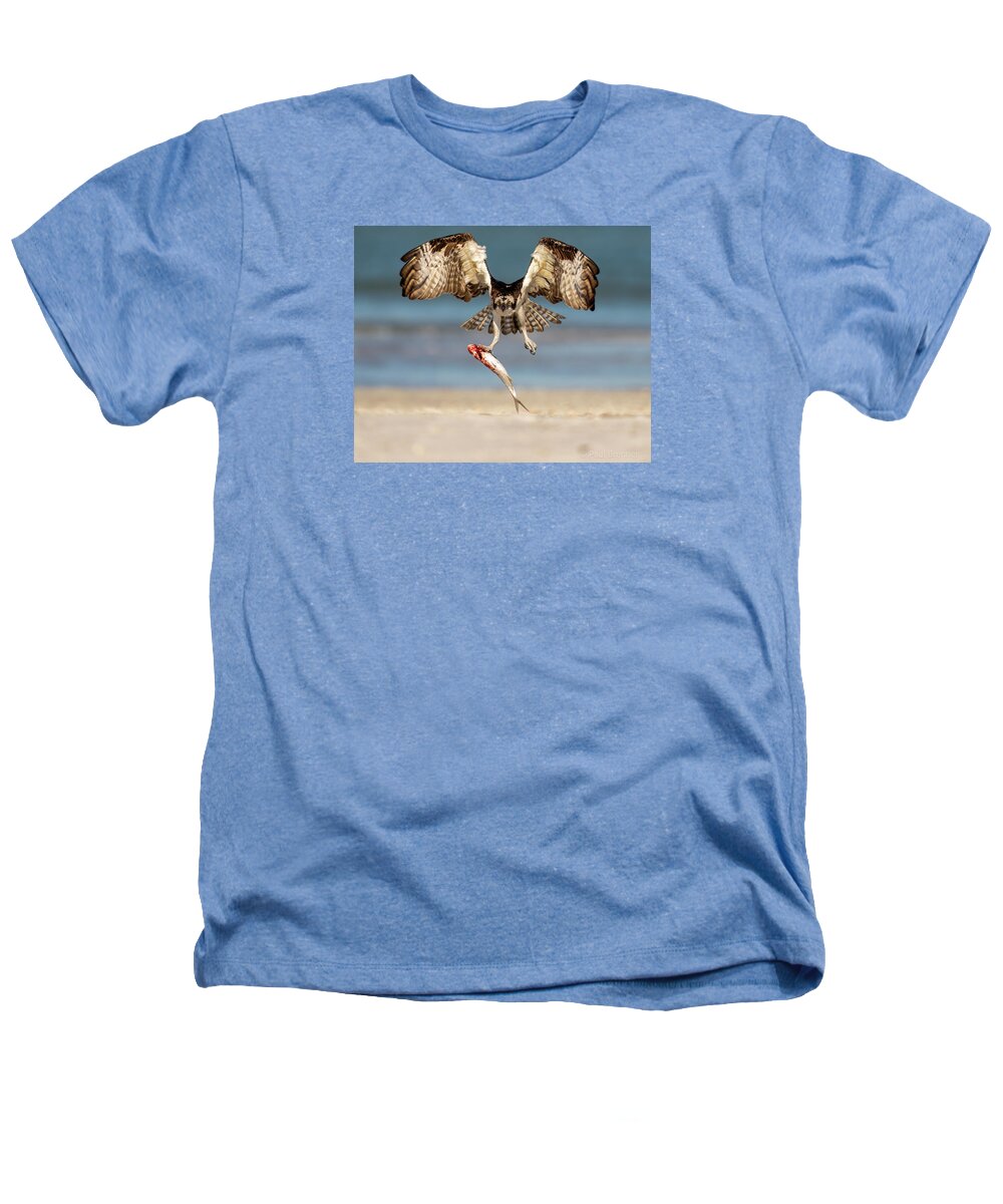Talon and Tide - Heathers T-Shirt