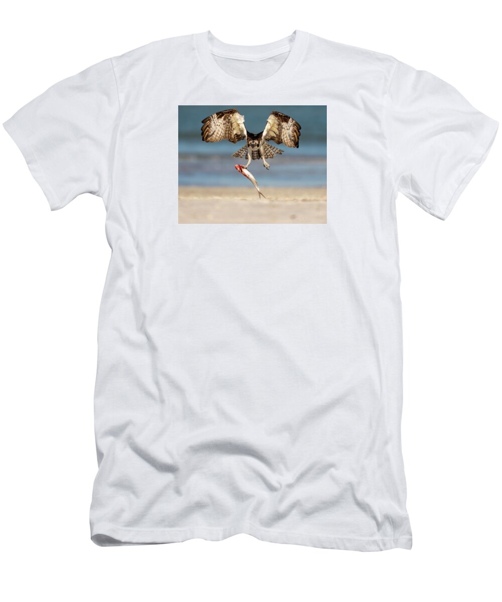 Talon and Tide - T-Shirt