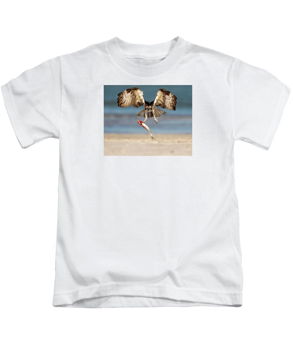 Talon and Tide - Kids T-Shirt