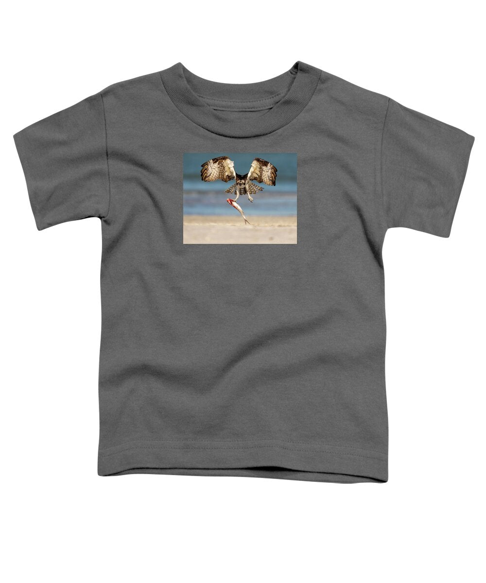 Talon and Tide - Toddler T-Shirt