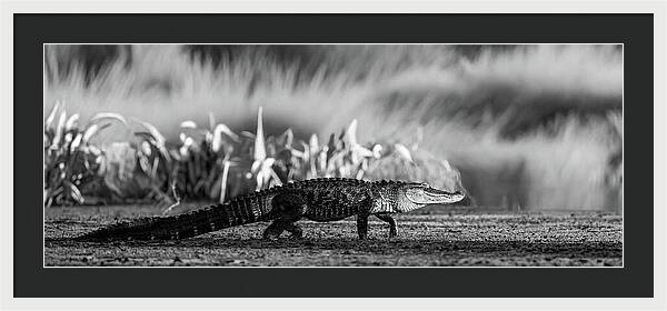 The Crossing - Framed Print