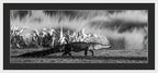 The Crossing - Framed Print