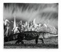 The Crossing - Blanket