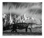 The Crossing - Blanket