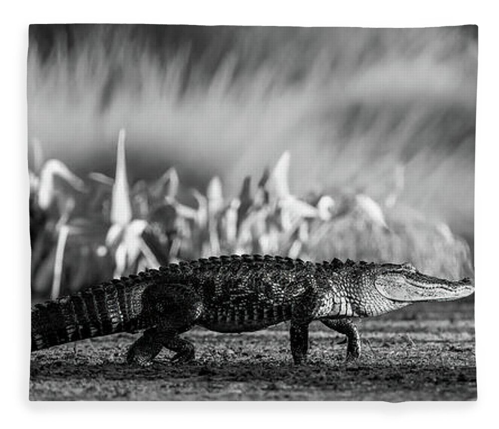 The Crossing - Blanket