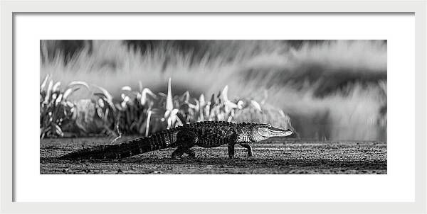 The Crossing - Framed Print