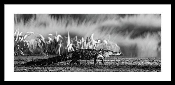 The Crossing - Framed Print