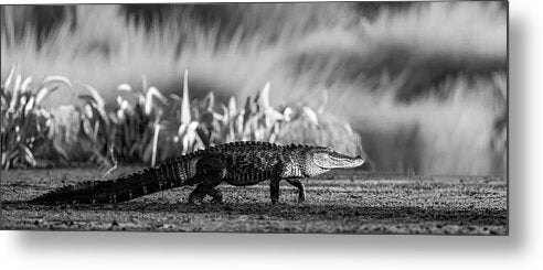 The Crossing - Metal Print