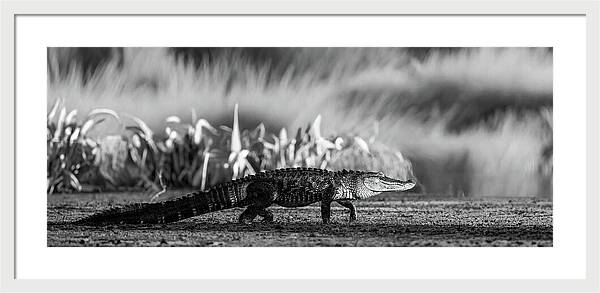 The Crossing - Framed Print