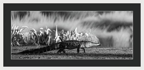 The Crossing - Framed Print
