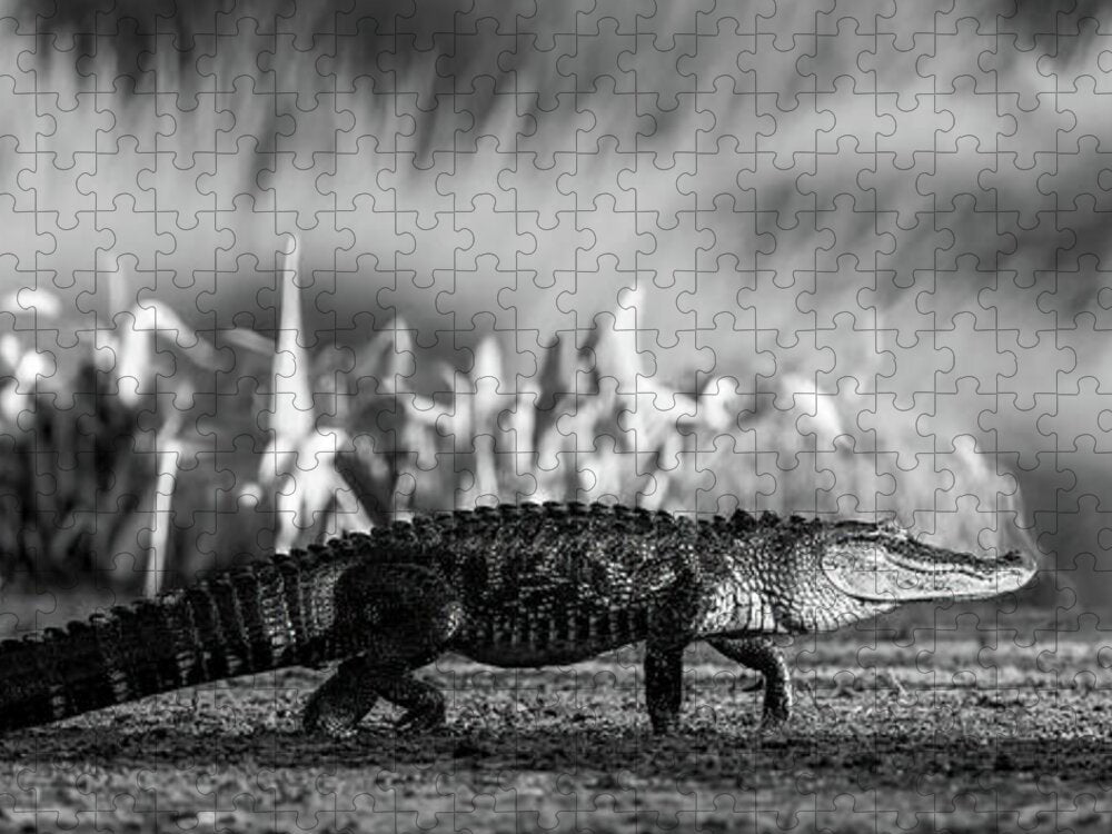 The Crossing - Puzzle