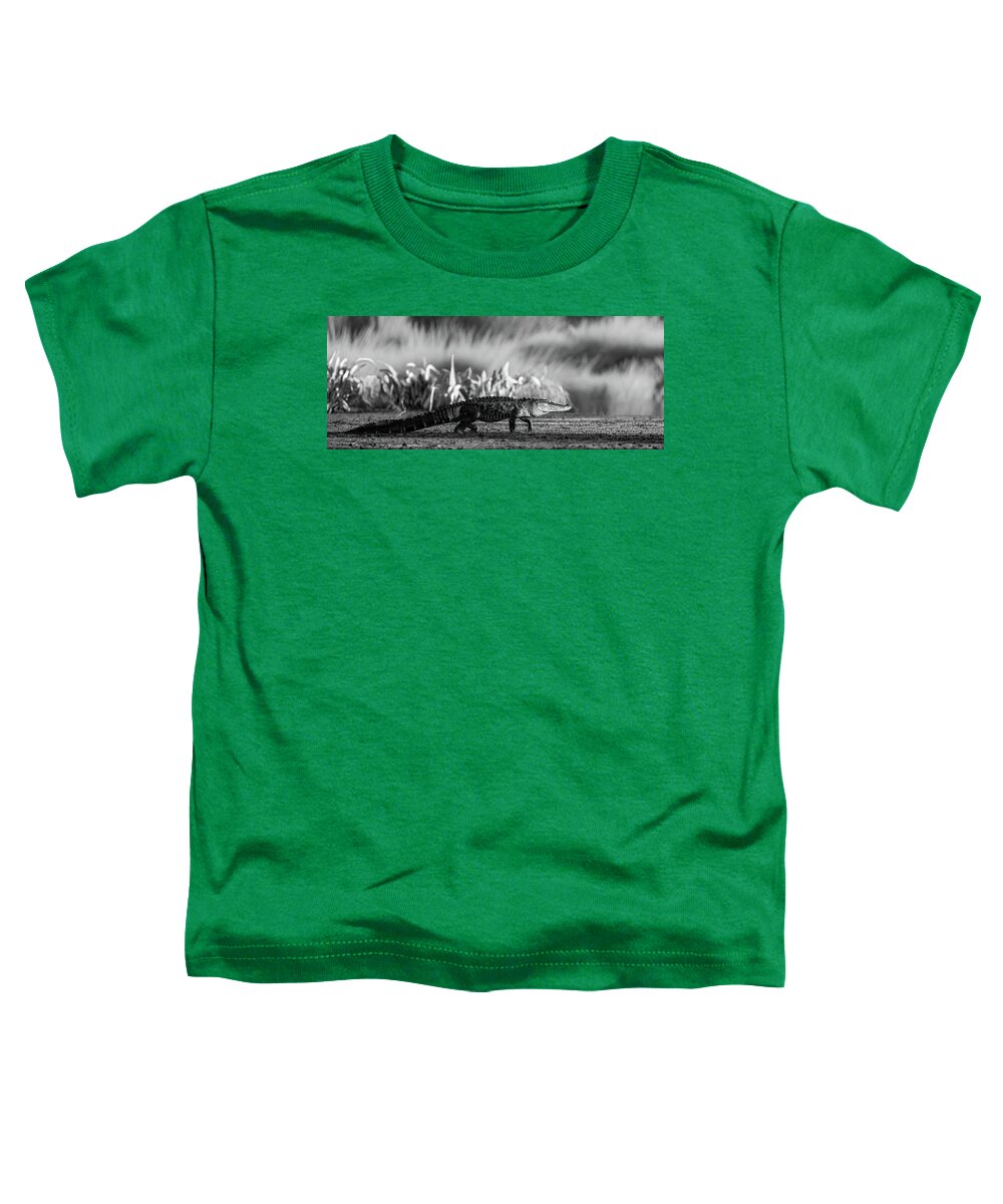 The Crossing - Toddler T-Shirt