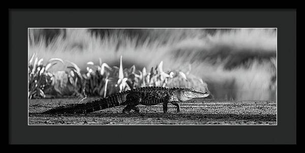 The Crossing - Framed Print