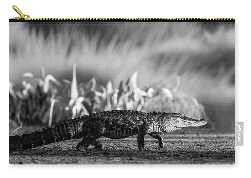 The Crossing - Zip Pouch