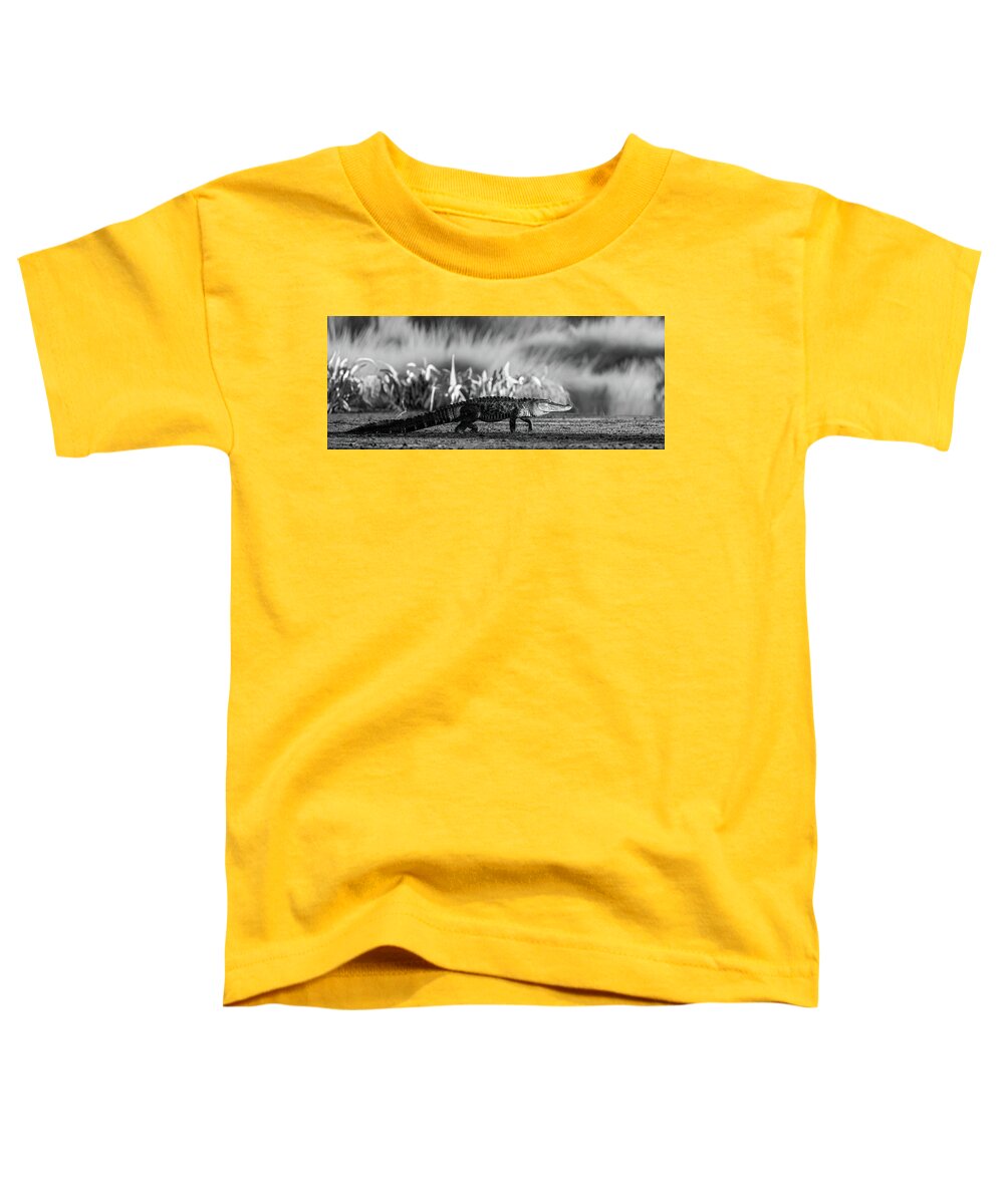 The Crossing - Toddler T-Shirt