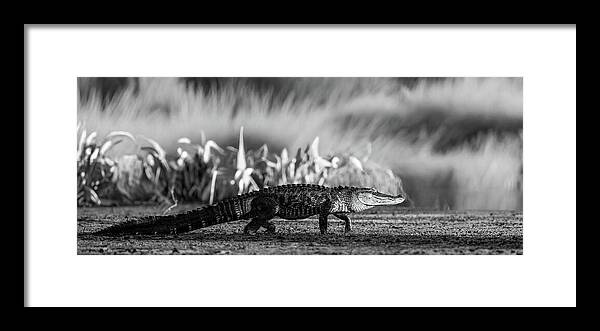 The Crossing - Framed Print