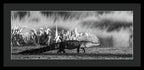 The Crossing - Framed Print