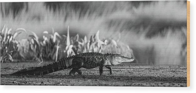 The Crossing - Wood Print