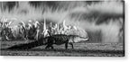 The Crossing - Acrylic Print