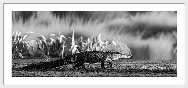 The Crossing - Framed Print