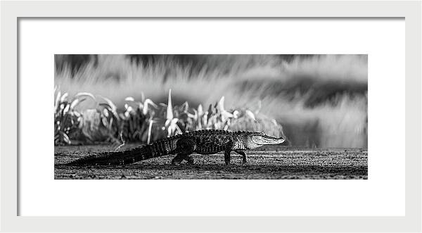 The Crossing - Framed Print