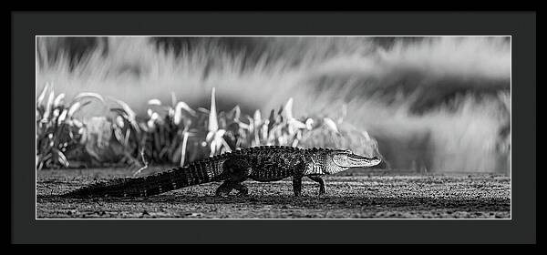 The Crossing - Framed Print