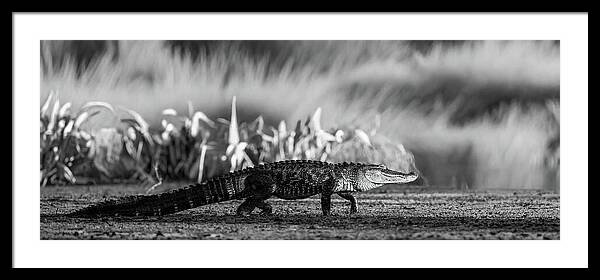 The Crossing - Framed Print