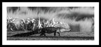 The Crossing - Framed Print
