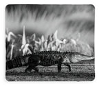 The Crossing - Blanket