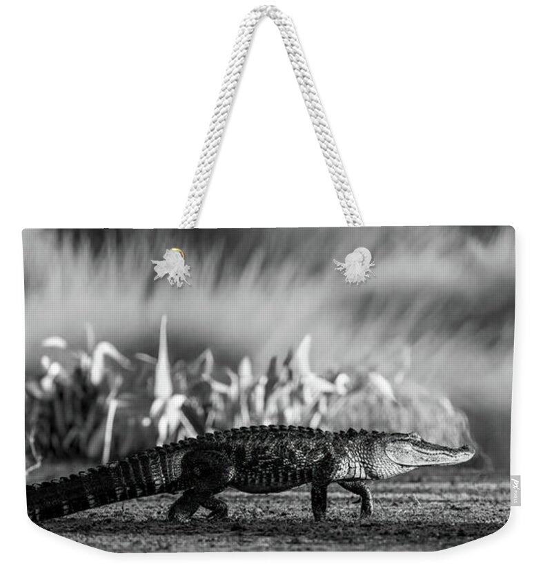 The Crossing - Weekender Tote Bag