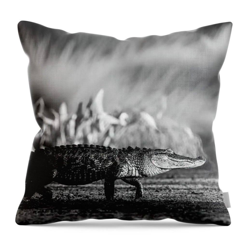 The Crossing - Throw Pillow