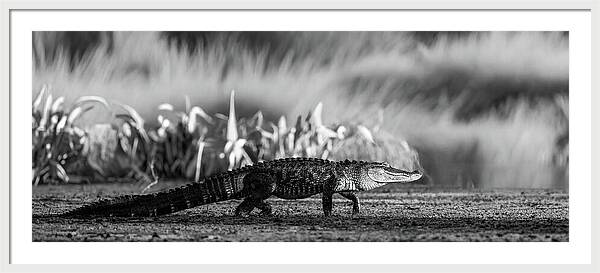 The Crossing - Framed Print