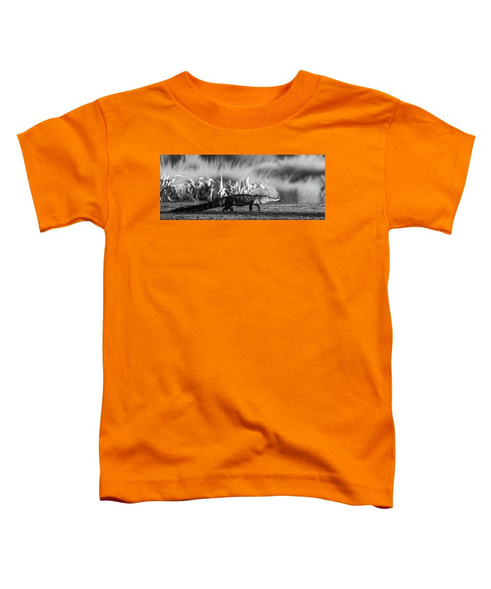 The Crossing - Toddler T-Shirt