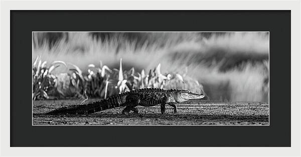 The Crossing - Framed Print