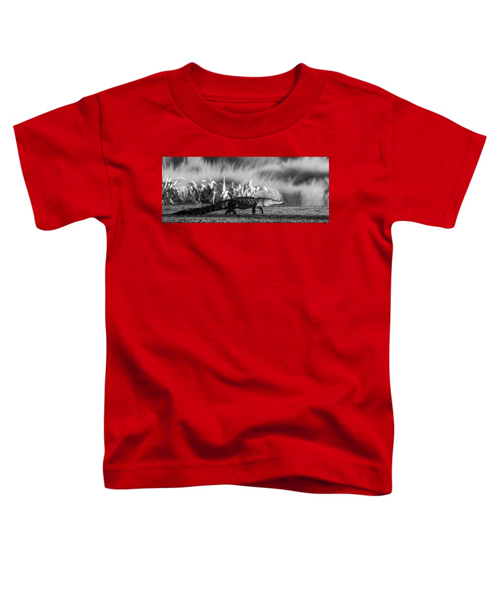 The Crossing - Toddler T-Shirt