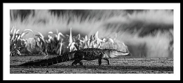 The Crossing - Framed Print