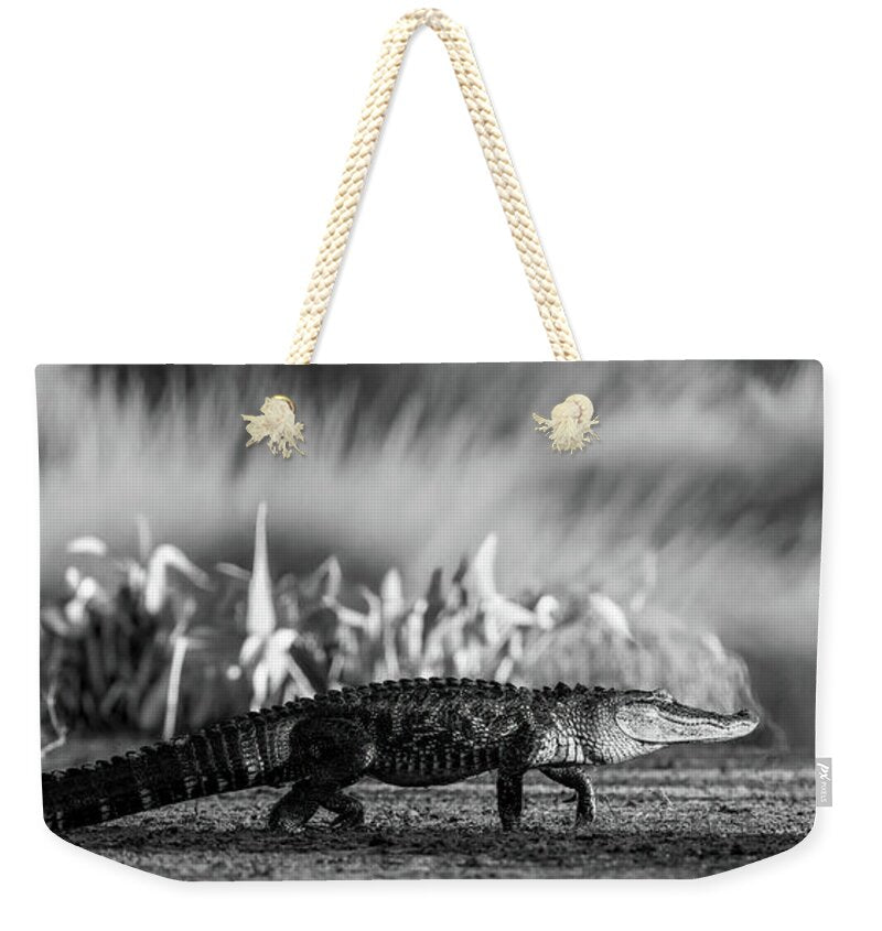 The Crossing - Weekender Tote Bag