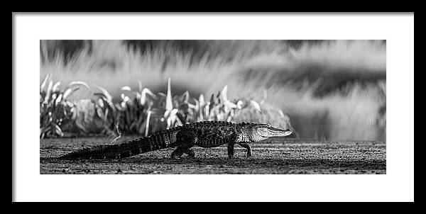 The Crossing - Framed Print