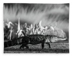 The Crossing - Blanket