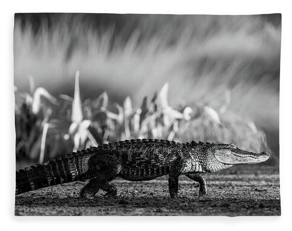 The Crossing - Blanket