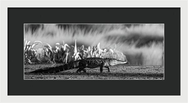 The Crossing - Framed Print