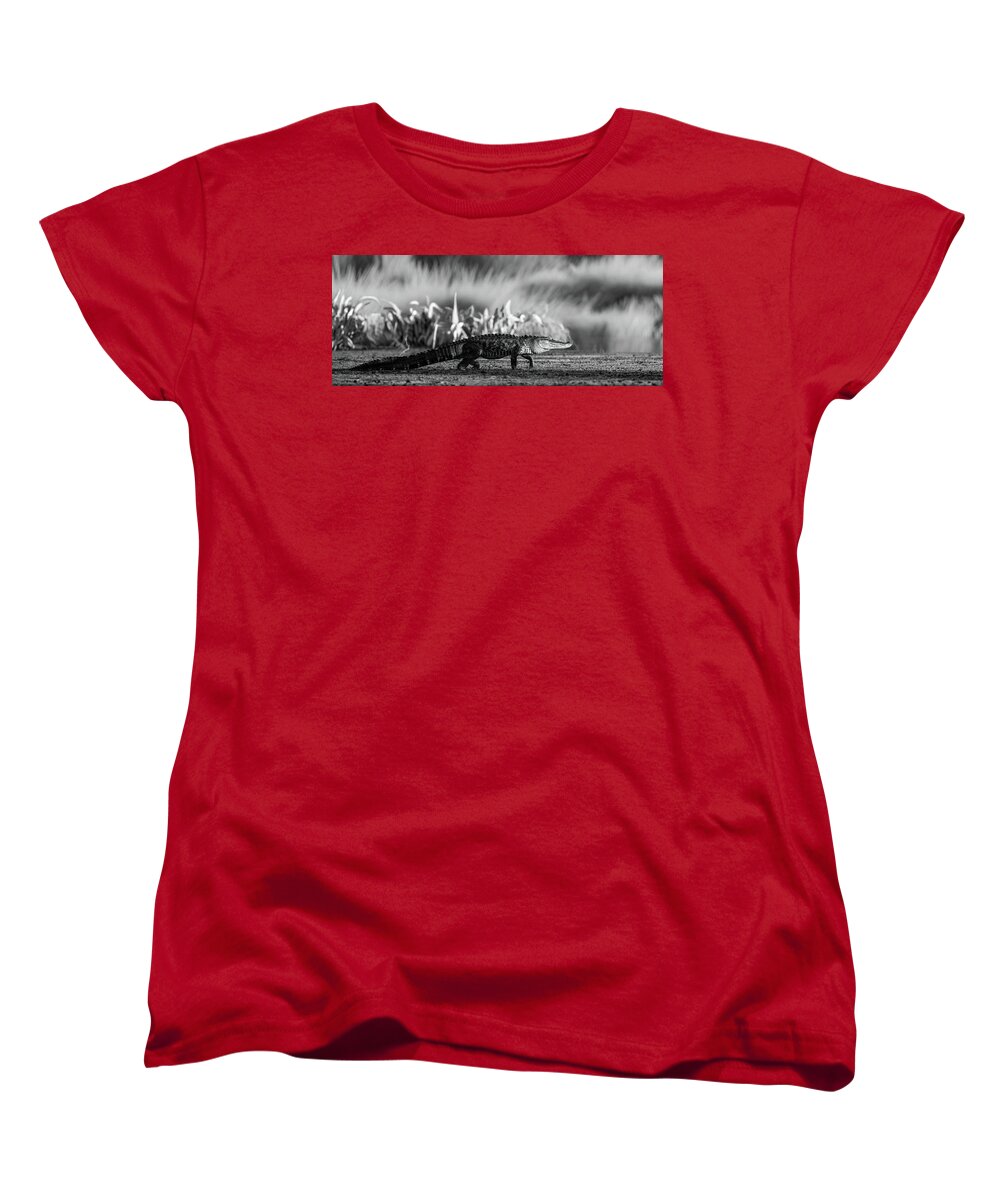 The Crossing - Women's T-Shirt (Standard Fit)