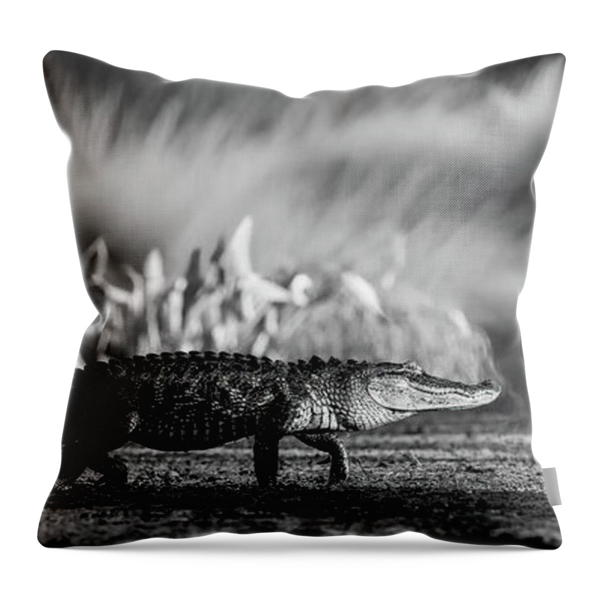 The Crossing - Throw Pillow