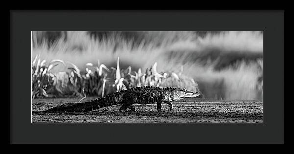 The Crossing - Framed Print