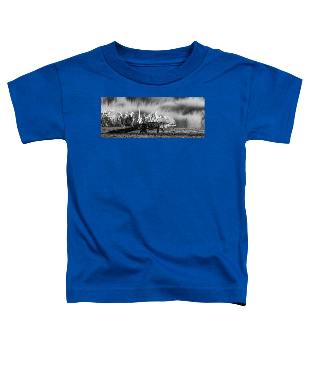 The Crossing - Toddler T-Shirt