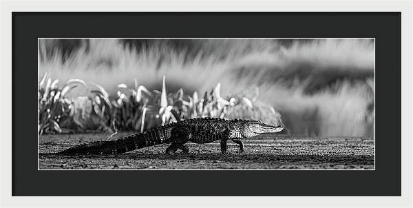 The Crossing - Framed Print
