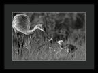 Todays lesson - Framed Print
