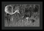 Todays lesson - Framed Print