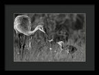 Todays lesson - Framed Print