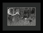 Todays lesson - Framed Print